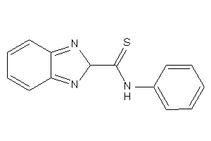 N-phenyl-2H-benzimidazole-2-carbothioamide