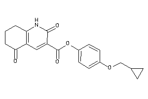 2,5-diketo-1,6,7,8-tetrahydroquinoline-3-carboxylic Acid [4-(cyclopropylmethoxy)phenyl] Ester