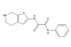 N-phenyl-N'-(4,5,6,7-tetrahydrothieno[2,3-c]pyridin-2-yl)oxamide