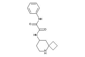 N-(5-azaspiro[3.5]nonan-8-yl)-N'-phenyl-oxamide