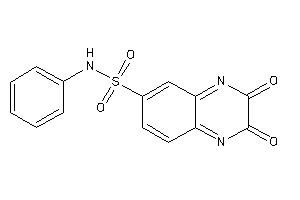 2,3-diketo-N-phenyl-quinoxaline-6-sulfonamide