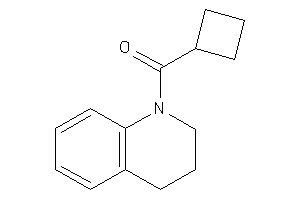 Cyclobutyl(3,4-dihydro-2H-quinolin-1-yl)methanone