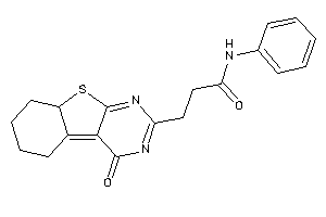 Image of 3-(4-keto-6,7,8,8a-tetrahydro-5H-benzothiopheno[2,3-d]pyrimidin-2-yl)-N-phenyl-propionamide