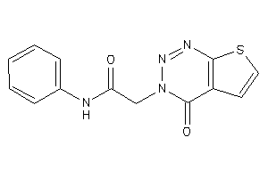 2-(4-ketothieno[2,3-d]triazin-3-yl)-N-phenyl-acetamide
