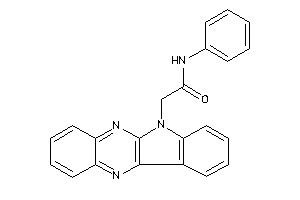 Image of 2-indolo[3,2-b]quinoxalin-6-yl-N-phenyl-acetamide