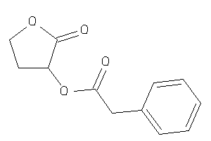 Image of 2-phenylacetic Acid (2-ketotetrahydrofuran-3-yl) Ester