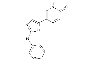 5-(2-anilinooxazol-5-yl)-2-pyridone