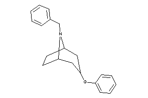 8-benzyl-3-phenoxy-8-azabicyclo[3.2.1]octane