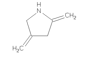 Image of 2,4-dimethylenepyrrolidine