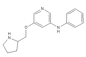 Phenyl-[5-(pyrrolidin-2-ylmethoxy)-3-pyridyl]amine