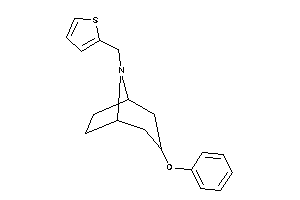 3-phenoxy-8-(2-thenyl)-8-azabicyclo[3.2.1]octane