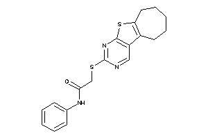 N-phenyl-2-(BLAHylthio)acetamide