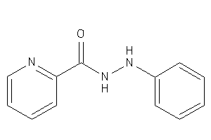 Image of N'-phenylpicolinohydrazide