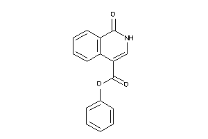 1-keto-2H-isoquinoline-4-carboxylic Acid Phenyl Ester