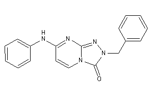 7-anilino-2-benzyl-[1,2,4]triazolo[4,3-a]pyrimidin-3-one