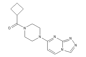 Image of Cyclobutyl-[4-([1,2,4]triazolo[4,3-a]pyrimidin-7-yl)piperazino]methanone