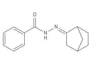 Image of N-(norbornan-2-ylideneamino)benzamide
