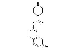 Isonipecot (2-ketochromen-7-yl) Ester