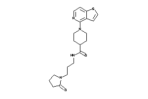 N-[3-(2-ketopyrrolidino)propyl]-1-thieno[3,2-c]pyridin-4-yl-isonipecotamide
