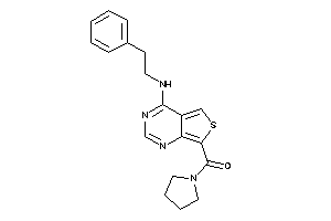 [4-(phenethylamino)thieno[3,4-d]pyrimidin-7-yl]-pyrrolidino-methanone