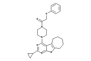 1-[4-(cyclopropylBLAHyl)piperazino]-2-phenoxy-ethanone