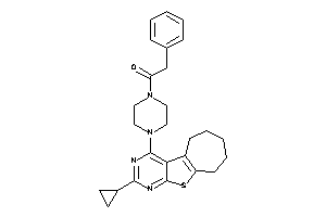 Image of 1-[4-(cyclopropylBLAHyl)piperazino]-2-phenyl-ethanone