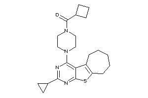 Cyclobutyl-[4-(cyclopropylBLAHyl)piperazino]methanone