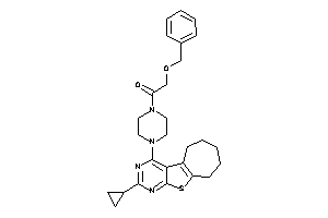 2-benzoxy-1-[4-(cyclopropylBLAHyl)piperazino]ethanone