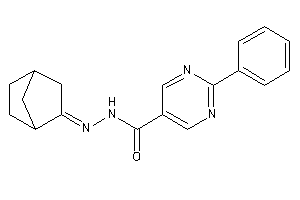 N-(norbornan-2-ylideneamino)-2-phenyl-pyrimidine-5-carboxamide