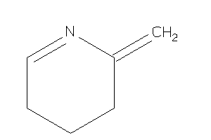Image of 2-methylene-4,5-dihydro-3H-pyridine