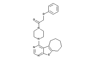 2-phenoxy-1-(4-BLAHylpiperazino)ethanone