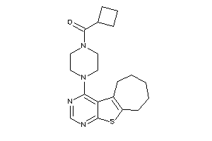 Cyclobutyl-(4-BLAHylpiperazino)methanone