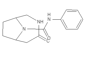 Image of 3-keto-N-phenyl-4,9-diazabicyclo[4.2.1]nonane-9-carboxamide