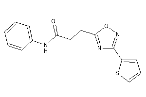 N-phenyl-3-[3-(2-thienyl)-1,2,4-oxadiazol-5-yl]propionamide