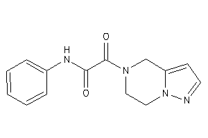 Image of 2-(6,7-dihydro-4H-pyrazolo[1,5-a]pyrazin-5-yl)-2-keto-N-phenyl-acetamide