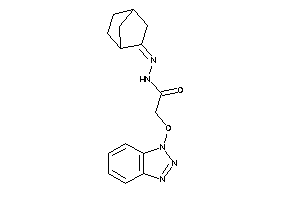 2-(benzotriazol-1-yloxy)-N-(norbornan-2-ylideneamino)acetamide