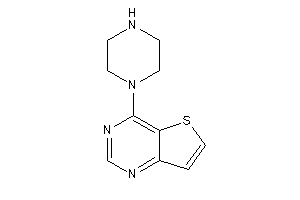 Image of 4-piperazinothieno[3,2-d]pyrimidine