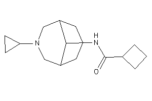 Image of N-(7-cyclopropyl-7-azabicyclo[3.3.1]nonan-9-yl)cyclobutanecarboxamide