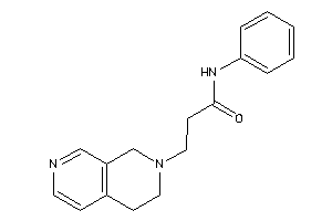Image of 3-(3,4-dihydro-1H-2,7-naphthyridin-2-yl)-N-phenyl-propionamide