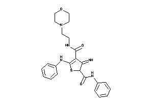 5-anilino-3-imino-N'-(2-morpholinoethyl)-N-phenyl-thiophene-2,4-dicarboxamide