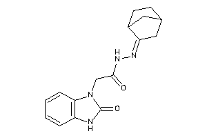 2-(2-keto-3H-benzimidazol-1-yl)-N-(norbornan-2-ylideneamino)acetamide