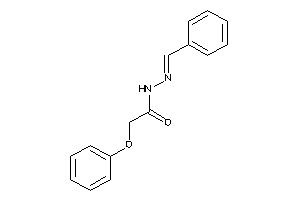 Image of N-(benzalamino)-2-phenoxy-acetamide