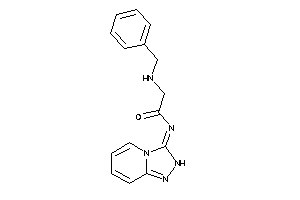 2-(benzylamino)-N-(2H-[1,2,4]triazolo[4,3-a]pyridin-3-ylidene)acetamide
