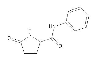 5-keto-N-phenyl-pyrrolidine-2-carboxamide