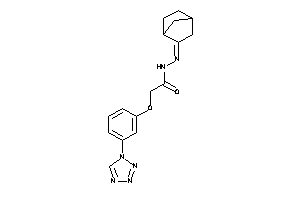 N-(norbornan-2-ylideneamino)-2-[3-(tetrazol-1-yl)phenoxy]acetamide