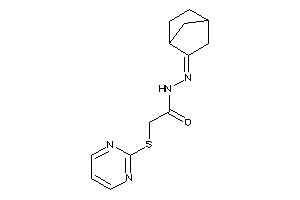 Image of N-(norbornan-2-ylideneamino)-2-(2-pyrimidylthio)acetamide