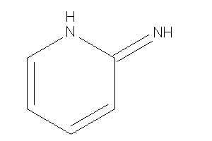 1H-pyridin-2-ylideneamine