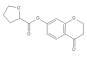Tetrahydrofuran-2-carboxylic Acid (4-ketochroman-7-yl) Ester