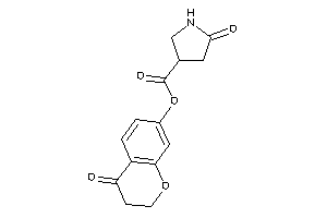 5-ketopyrrolidine-3-carboxylic Acid (4-ketochroman-7-yl) Ester
