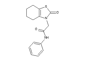 2-(2-keto-4,5,6,7-tetrahydro-1,3-benzothiazol-3-yl)-N-phenyl-acetamide